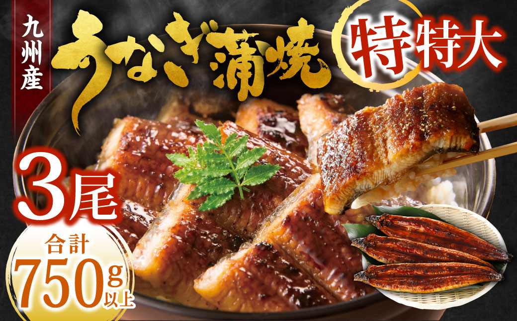 九州産 うなぎ蒲焼 特特大3尾 (1尾あたり250～266g) 合計750g以上