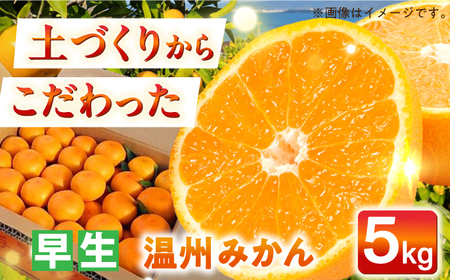 【自然の力を活かした栽培】温州みかん（早生） 5kg -2025年11月中旬より発送- 農事組合法人希望種（きぼうのたね）[ECQ003]  みかん ミカン 柑橘 温州みかん 果物 くだもの フルーツ 長崎みかん 長与みかん 早生みかん 5kg 