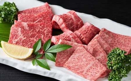 【訳あり】【A4～A5】 長崎和牛 焼肉用 約1kg （約500g×2パック） ／ 和牛 牛肉 ぎゅうにく お肉 おにく 肉 にく バラ 肩ロース モモ 焼肉 やきにく バーベキュー BBQ 長崎県 