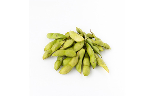 【先行予約】令和8年産！丹波篠山産黒枝豆（サヤのみ）1kg×2袋《仲摘み》10／14頃～10／23頃発送予定