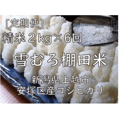 ふるさと納税 上越市 【毎月定期便】雪むろ棚田米コシヒカリ2kg(2kg×1袋)精米-新潟県上越市安塚区産-全6回