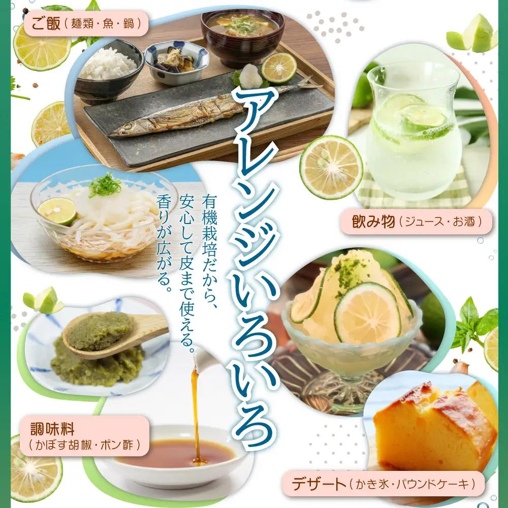 カットしてわかる魔法の香り「有機栽培かぼす」 10㎏箱入り K3-S