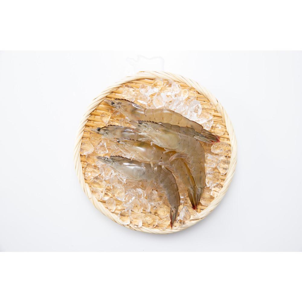【ふるさと納税】青空えび（和名：シロアシエビ）2パック入り | 海老 魚介類 水産 食品 人気 おすすめ 送料無料