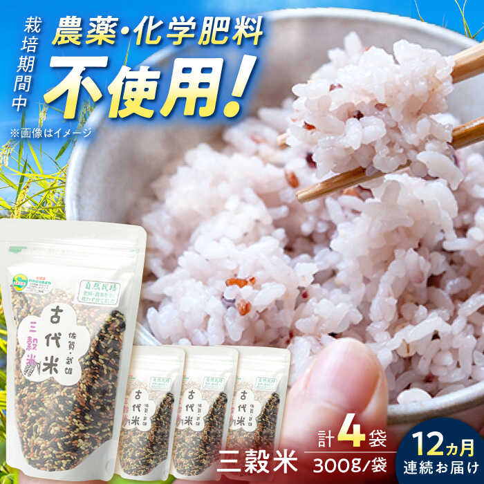 【ふるさと納税】【12回定期便】自然農法で育てた 三穀米 1.2kg（300g×4袋）/永尾 忠則[UAS016] 雑穀 雑穀米 お米 米