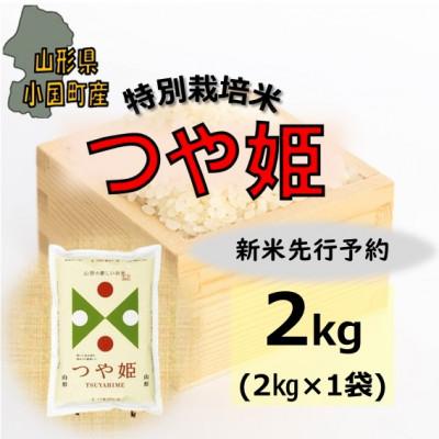 ふるさと納税 小国町 【令和8年産新米　先行予約】山形県小国町産　つや姫2kg　小国米穀商業協同組合