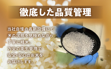数量限定 13000円 新米農家のこしひかり 5kg お米 おこめ 米 コメ ごはん コシヒカリ ご飯 ブランド米 精米 令和7年 6か月 令和6年産 売り切れ 米 備蓄米 よりおいしい 愛知県 田原