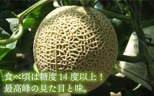 【12月上旬頃お届け】＜先行予約＞【ていねいに育てた高級果物】平戸市産 ネットメロン「 ソナタ 」[KAB097]/ 長崎 平戸 果物 フルーツ メロン アールスメロン ソナタ 糖度14度 贈物 贈答