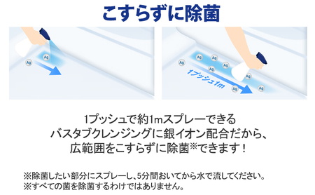 【ふるなびWEEK対象】洗剤 ルック プラス バスタブクレンジング セット ライオン 日用品 消耗品 風呂 お風呂 おふろ お風呂用洗剤 バスタブ 浴槽 掃除 除菌 洗浄 詰替 詰替え ギフト 石鹸 