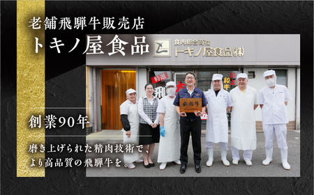 A5 飛騨牛 焼肉 3回 定期便 焼肉 トキノ屋食品