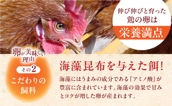【全3回定期便】熊本県産 蘇陽の月 60個入り ( 10個入り × 6パック ) 山都町 たまご 卵【蘇陽農場】 [YBE022]