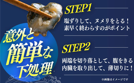 大村湾産 大村 青ナマコ 「琴俵｣ 1kg / なまこ 珍味 / 大村市漁業協同組合 / 大村市 [ACAP002]