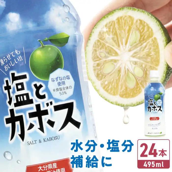 塩とカボス 495ml×24本 ジュース 塩 カボス  [ARDC015]