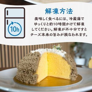 富士山 スフレ チーズケーキ 生クリーム ほうじ茶クリーム ズコット 1ホール ふんわり まんまる しっとり かわいい お子様 お年寄り 保存料不使用 冷凍 箱入り おやつ スイーツ お菓子 富士市 
