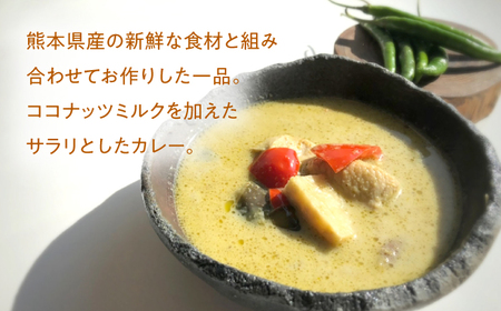 グリーンカレー 約180g×5パック 計900ｇセット スープ[AYAK004]