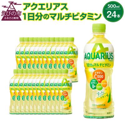 ふるさと納税 えびの市 アクエリアス 1日分のマルチビタミン PET 500ml×24本 1ケース(えびの市) |  | 01