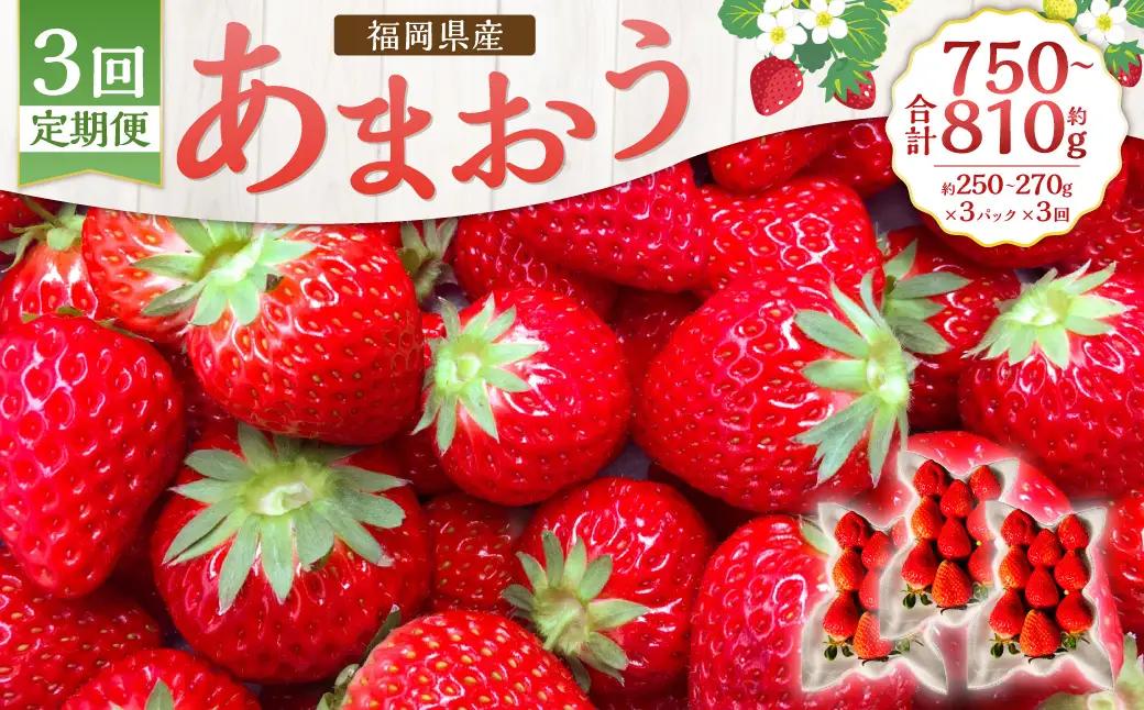 【3回定期便】あまおう 3パック あまおう いちご イチゴ 苺 果物 くだもの フルーツ【2027年1月下旬～4月下旬発送予定】