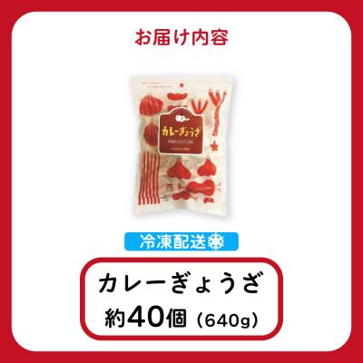 ふるさと納税 三原市 paoの無添加餃子「カレーぎょうざ」640g(約40個) [058-006] |  | 01