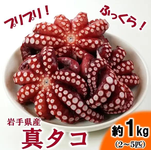 北三陸産 蒸し真タコ丸ごと約1ｋｇ（約2匹～5匹）タコ刺身 たこ焼き たこ 海鮮 海産物 魚介