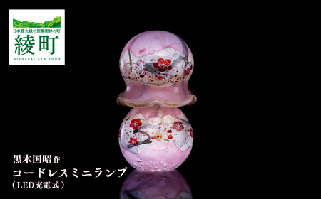 黒木国昭作 コードレスミニランプ 金・プラチナ象嵌「夢光琳 花ロマン」