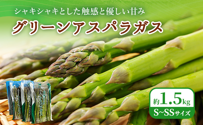 2027年春発送！ふらの グリーンアスパラ 約1.5kg [ 数量限定 先着順 アスパラ アスパラガス 野菜 新鮮 直送 北海道 富良野 ]