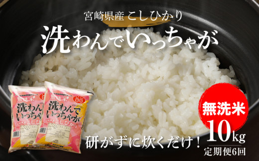 
無洗米コシヒカリ 洗わんでいっちゃが10㎏✕6回定期便 計60㎏ K23_T002_1
