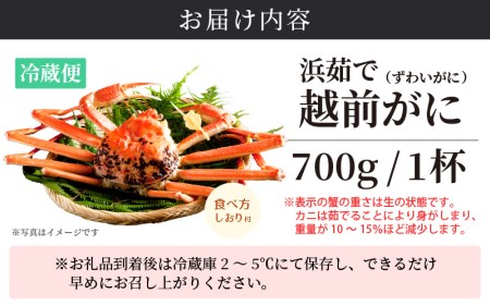 越前がに本場の越前町からお届け！越前がに浜茹で 小サイズ（生で700g以上）×1杯【12月発送】 [e14-x005_12] 越前町 雄 ズワイガニ ボイル 冷蔵 越前がに 越前ガニ 越前かに 越前カ