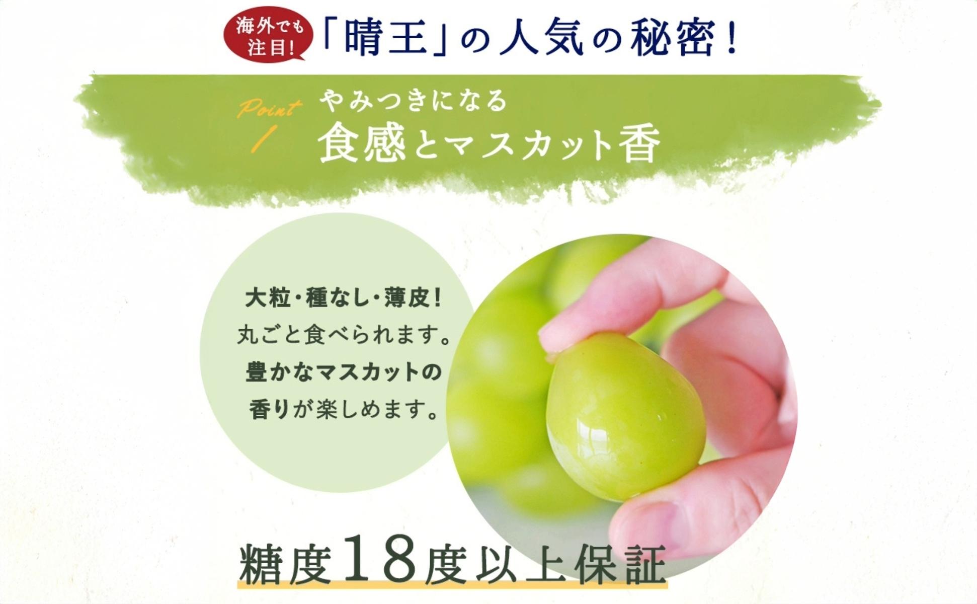＜定期便全3回＞シャインマスカット晴王1房800ｇ化粧箱入　3回コース