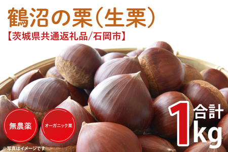 【先行予約】【9月中旬より順次発送】石岡市鶴沼の栗（生栗）1kg（茨城県共通返礼品/石岡市）【くり 栗 農薬不使用 オーガニック オーガニッ栗 珍しい 希少 秋 茨城県産 果物 果樹 栗ご飯 水戸市】