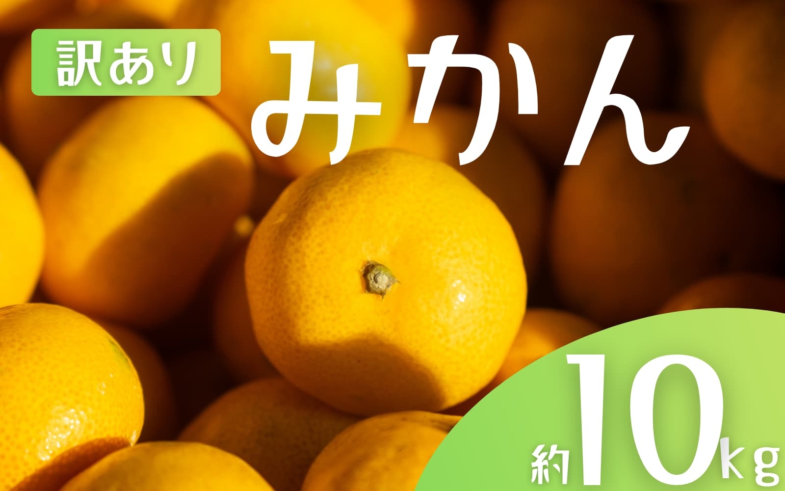 
            【訳あり】 森本農園の手選別 みかん 約10kg 和歌山県産 2S~2Lサイズ混合 【2025年11月上旬～2026年2月中旬ごろに順次発送】【mrmt010】 
          