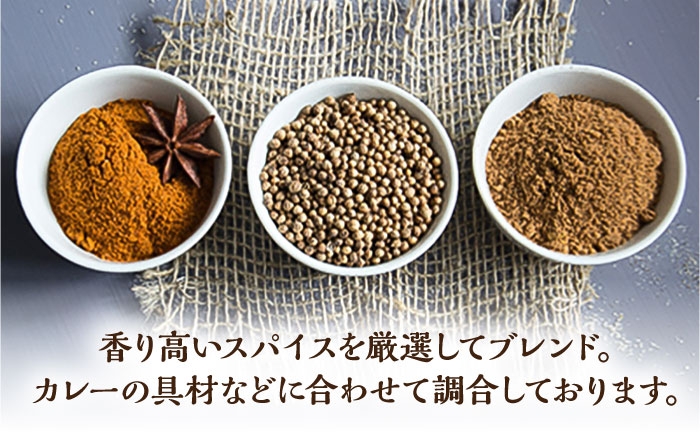 【12回定期便】薬膳スパイスビーフカレー 4食（200g×4） /自然庵 [UCQ009] カレー レトルトカレー 牛肉 牛 ビ