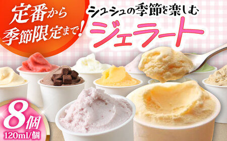 シュシュの季節のジェラート8個セット / アイス あいす アイスクリーム あいすくりーむ ジェラート じぇらーと スイーツ すいーつ / 大村市 / おおむら夢ファームシュシュ[ACAA010]