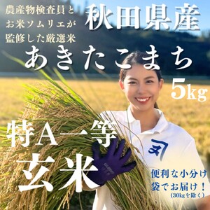 【米農家直送】令和7年産 特Aランク 厳選 秋田県産 あきたこまち 玄米 5kg 米【(株)鈴木又五郎商店】[B3-2303]