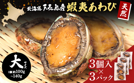 【北海道】天売島産 天然蝦夷あわび 大サイズ 3個入×3パック (1個 約100g～140g)【02164】