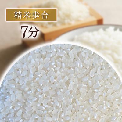 ふるさと納税 倉吉市 コシヒカリ 10kg(7分づき)令和7年産 新米 お米 米 こめ コメ こしひかり コシヒカリ ご飯 |  | 01