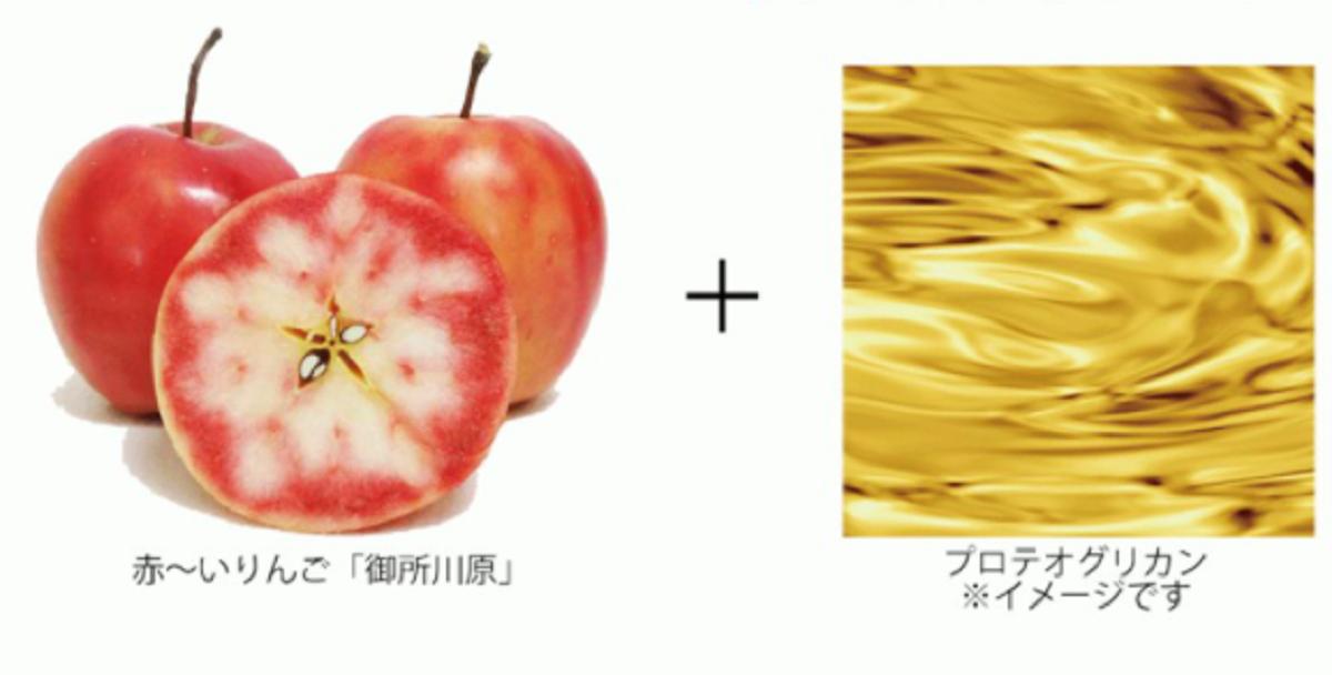 AKARIN5 プロテオグリカン スキンケアセット (化粧水＋保湿乳液） | 中まで赤～いりんご 「御所川原」 使用