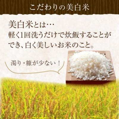 ふるさと納税 京丹後市 【毎月定期便】丹後こしひかり1等米3kg　美白精米全3回 |  | 01