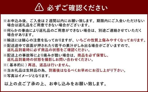 あまおう ボリュームセット 6パック【2027年2月上旬～4月下旬発送予定】