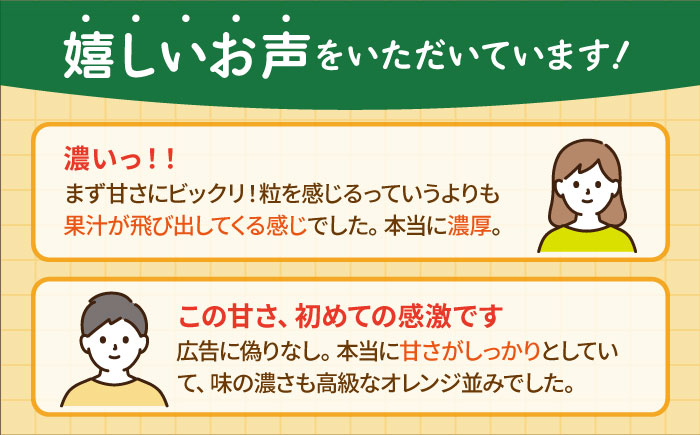 ＜先行予約＞【2月～3月発送】幻のみかん タッチの甘熟「今村温州みかん」5kg 【夢の完熟みかん タッチ】 [HCE002]