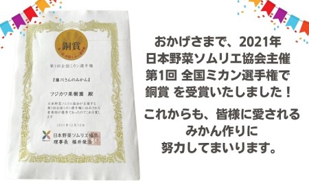 みかん 田口早生 香川県産 柑橘 みかん【約10kg】【先行予約】