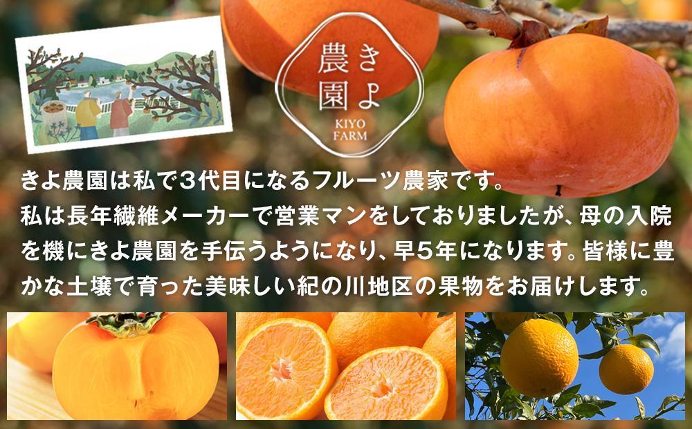 柿(種無し) 6個入 (約2kg)  秀品大玉【2025年9月下旬頃より発送】【KT1】