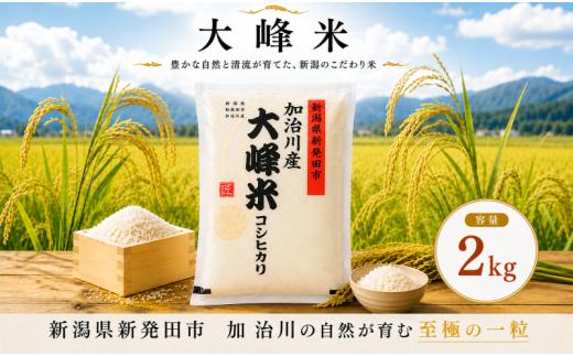 【大峰米コシヒカリ】 令和7年産　新潟県産 コシヒカリ 2kg 令和7年産 新潟県 新発田市 加治川産  新発田産 新潟 ふるさと納税 精米 米 お米  大峰米 白米 米 お米 こめ コメ ライス ご飯 ごはん 美味しい 贈り物 国産 新潟県 新発田市 お取り寄せ 令和7年産米 産地直送 GAP認証 JGAP アグリ加治川 agk007
