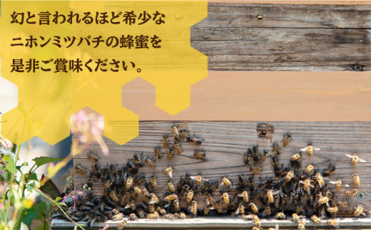 ニホンミツバチ 生蜂蜜 600g×2（化粧箱付き） 《壱岐市》【憲ちゃんハチミツ】[JCL006] ハチミツ 蜂蜜 日本蜜蜂 ギフト プレゼント 贈り物 化粧箱 60000 60000円 6万円