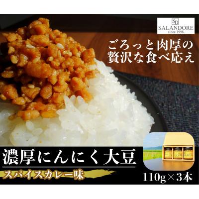 ふるさと納税 朝倉市 濃厚にんにく大豆_スパイスカレー味_3本セット