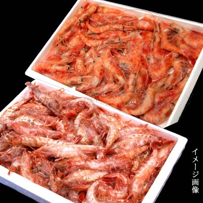 【数量限定】山陰のわけあり地エビ2種　計1キロ以上(甘エビ、ガラエビ/ドロエビ各500g以上×2種)【配送不可地域：離島】