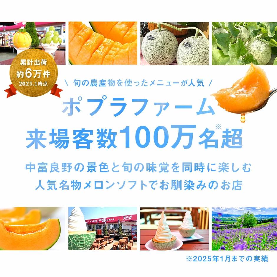 【2026年発送】【ポプラファーム】富良野メロン 特大1玉（2.6kg以上 秀品）