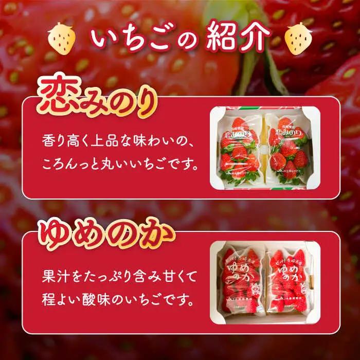 【2027年1月-発送】いちご2種類 食べ比べ 約250g×4P [SAC006] いちご