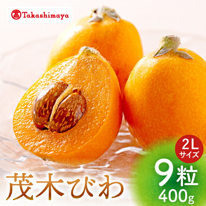【ふるさと納税】【高島屋選定品】【4月中旬より順次配送】九州屋 茂木 びわ 400g （ 2Lサイズ 9粒入）＜高島屋＞[CFQ061] びわ ビワ 琵琶 果物 フルーツ 大粒 2Lサイズ 贈答 ギフト プレゼント 九州屋 高島屋 旬 長崎