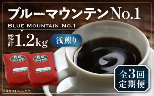 【粉でお届け】【全3回定期便】ブルーマウンテン NO.1 コーヒー ( 浅煎り ) 《豊前市》【稲垣珈琲】 珈琲 コーヒー 豆 粉 [VAS149]