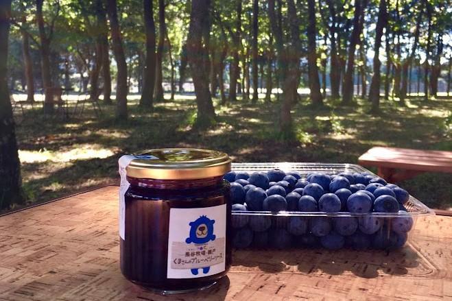 【母の日】【湯布院 熊谷牧場・雛戸】無農薬で育てたくまさんのブルーベリーソース 4本セット
