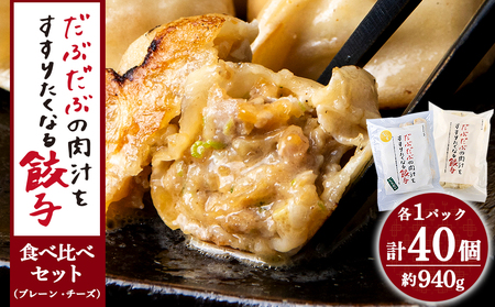 だぶだぶの肉汁をすすりたくなる餃子 食べ比べセット 40個（プレーン・チーズ 各20個） BE016